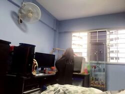 Blk 236 Bukit Panjang Ring Road (Bukit Panjang), HDB 4 Rooms #546555431